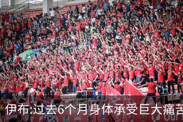 伊布:过去6个月身体承受巨大痛苦 只为帮球队夺冠